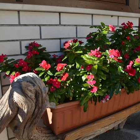 Apartma Zala Most na Soči Екстериор снимка