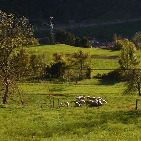 Apartma Zala Most na Soči Екстериор снимка
